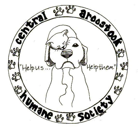 Humane Society seeks used shoes