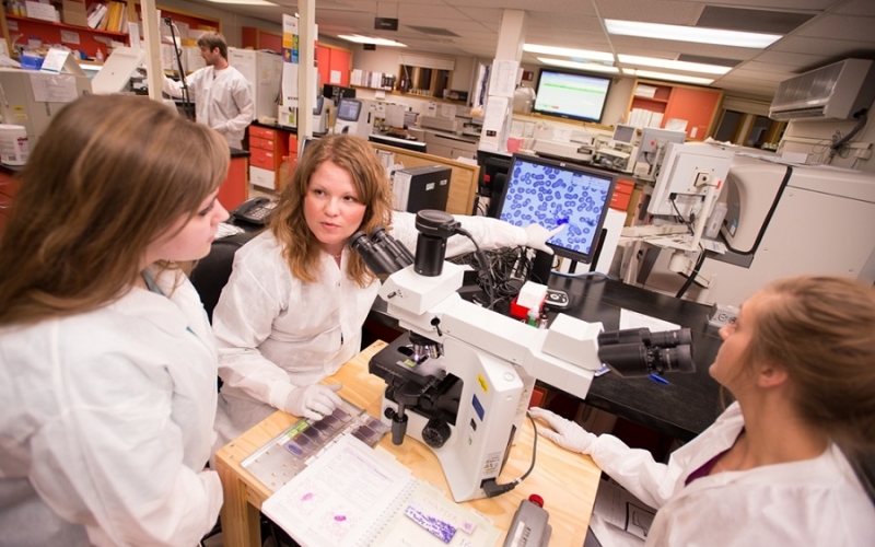 MLT reaccreditation