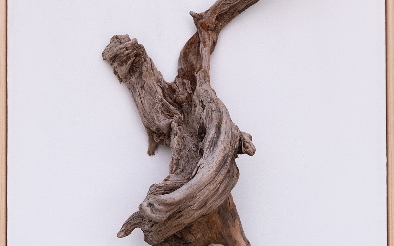 Huck exhibit